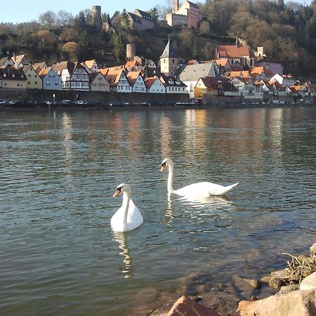 Romantisches Hirschhorn Am Neckar Exteriér fotografie