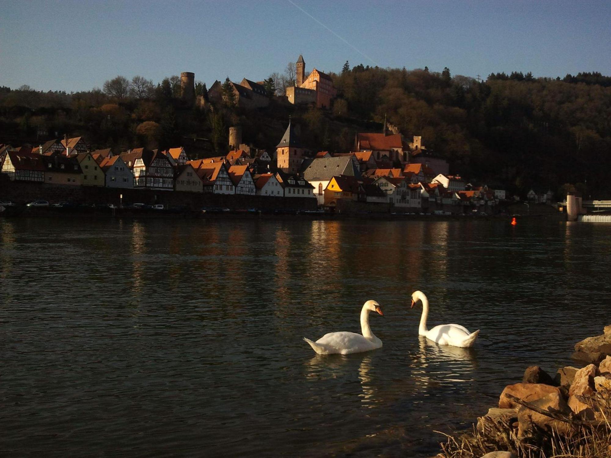 Romantisches Hirschhorn Am Neckar Exteriér fotografie