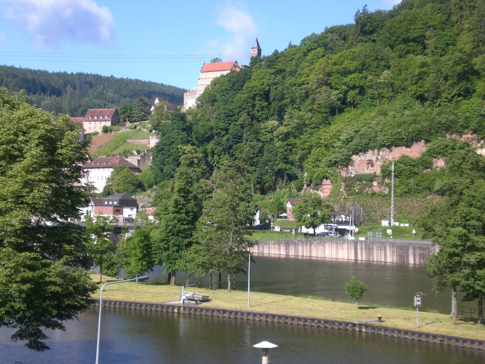 Romantisches Hirschhorn Am Neckar Exteriér fotografie