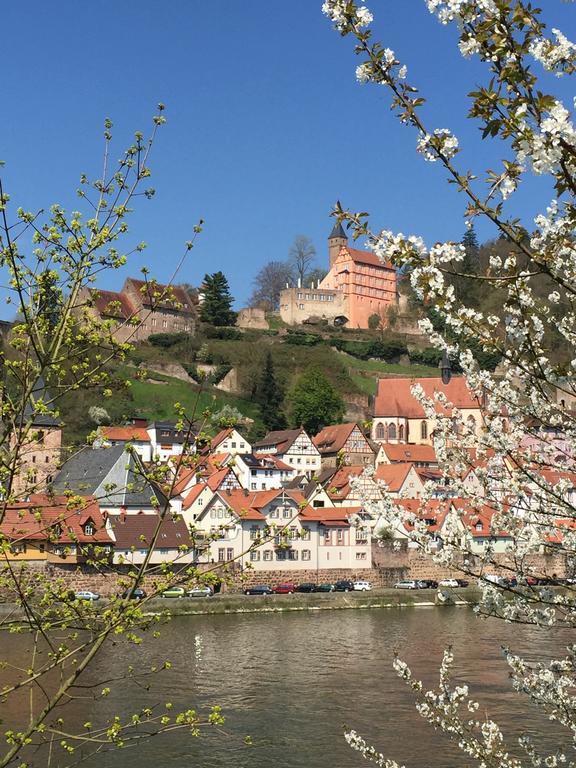 Romantisches Hirschhorn Am Neckar Exteriér fotografie