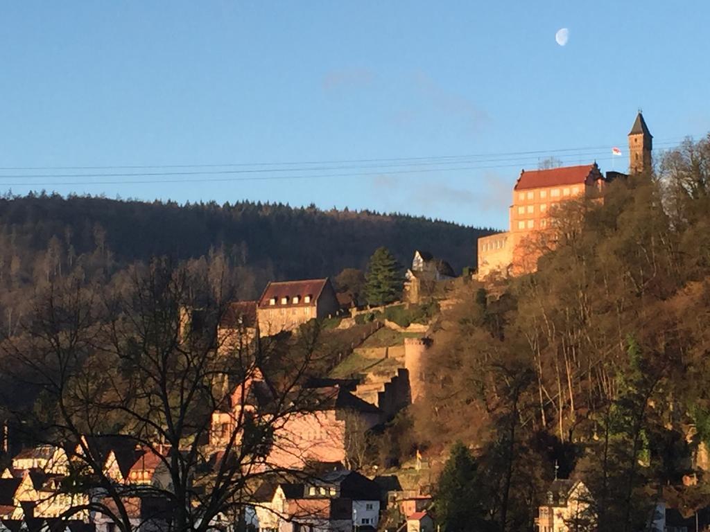Romantisches Hirschhorn Am Neckar Exteriér fotografie